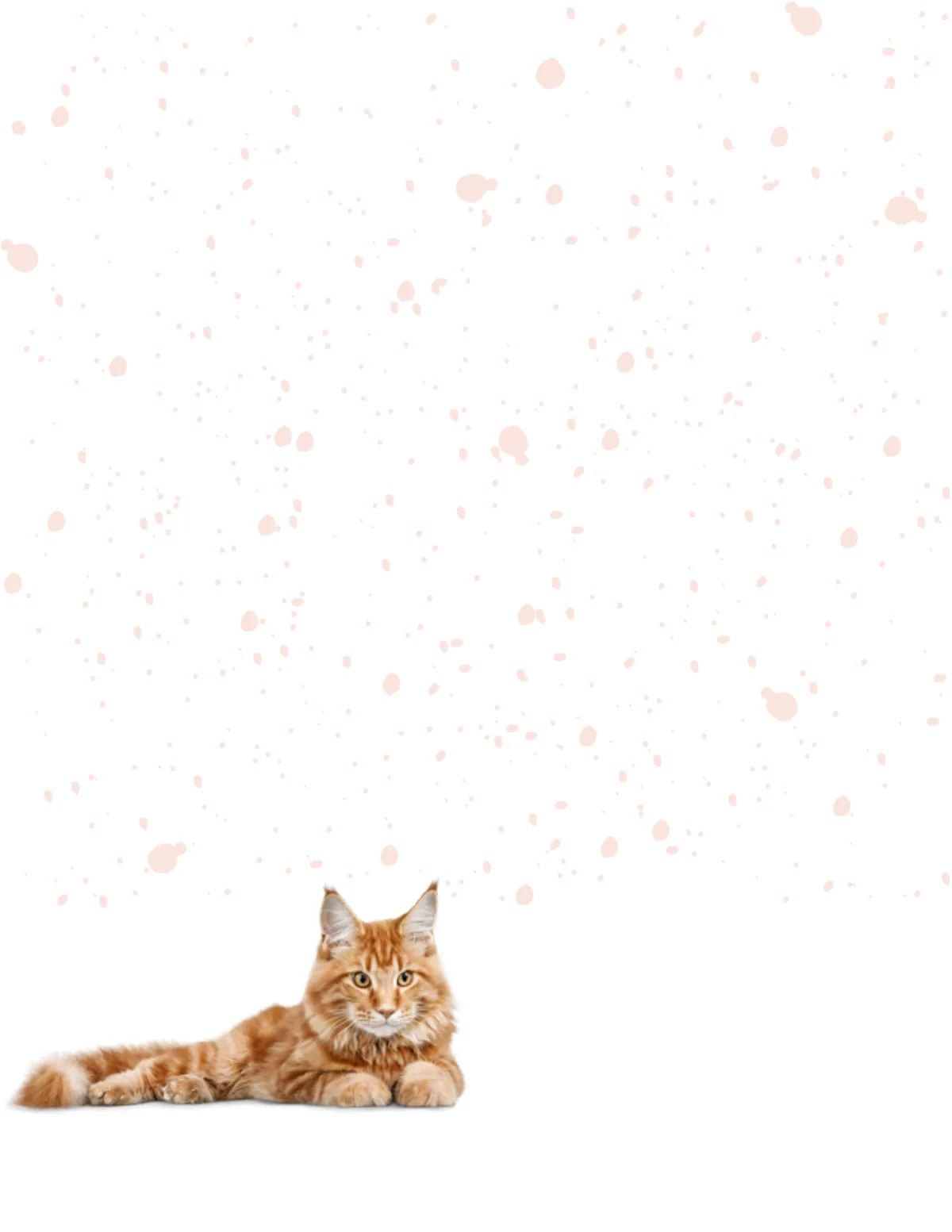 Cats No. 4 note pad, design 1 of 40