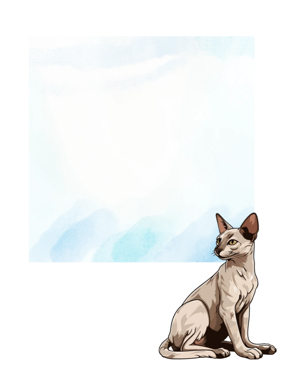 Cats No. 7 note pad
